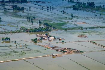 سال 2022 میں بھی مون سون بارشوں اور سیلاب نے پاکستان میں بڑے پیمانے پر تباہی مچائی تھی۔