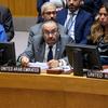 وزير الدولة الإماراتي خليفة شاهين المرر، يتحدث أمام مجلس الأمن الدولي.