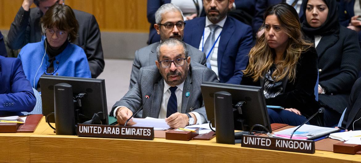 وزير الدولة الإماراتي خليفة شاهين المرر، يتحدث أمام مجلس الأمن الدولي.