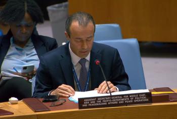 Помощник главы ООН Халед Хияри на заседании Совбеза ООН.