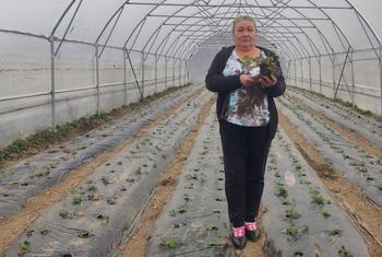 Живана Петрониевич стоит в своей недавно отстроенной теплице. 