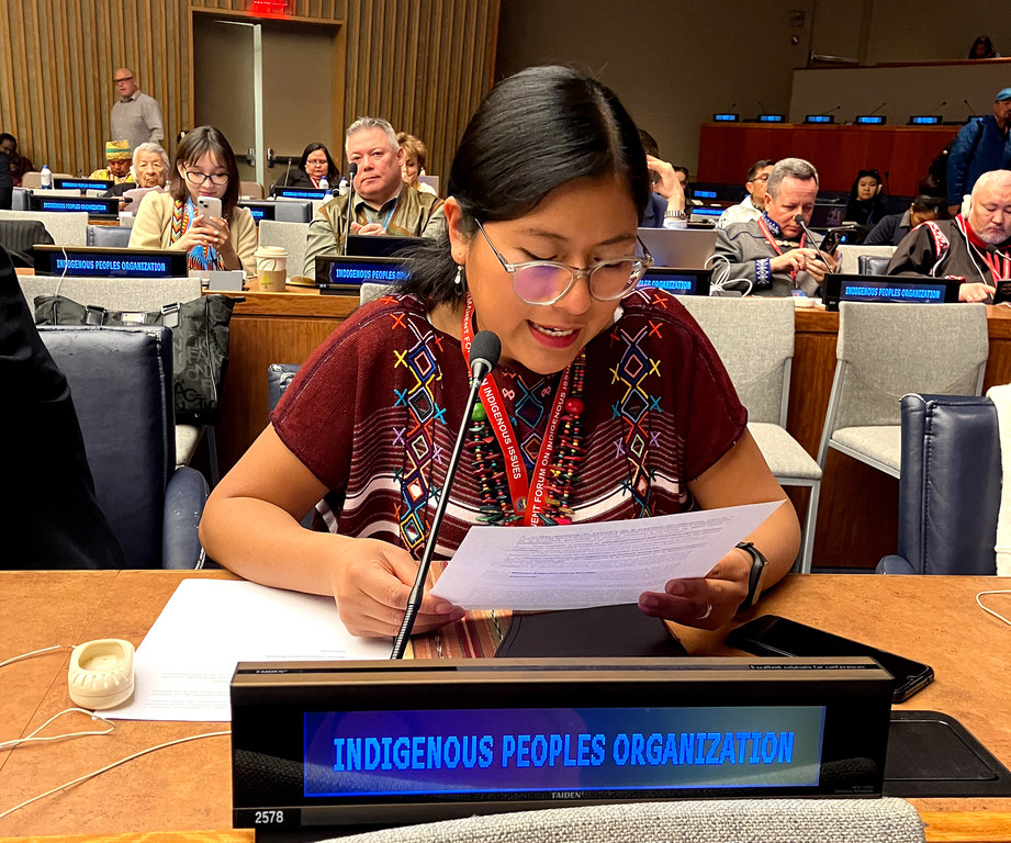 Alejandra García Ramírez, joven lideresa indígena de Guatemala, durante el Foro Permanente de las Naciones Unidas para las Cuestiones Indígenas 2024.