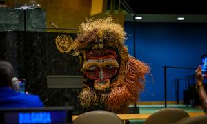 A member of the Batoto Yetu dance company performs during the opening of the Second Session of the Permanent Forum on People of African Descent.