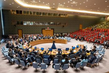 Заседание Совета Безопасности ООН.