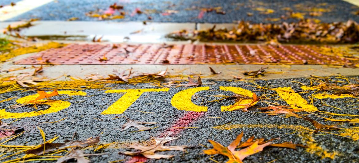 Primer plano de una señal amarilla de "STOP" pintada en una carretera asfaltada en Sterling, Virginia, durante el otoño, con hojas caídas esparcidas por el suelo.