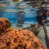Ученый-океанограф изучает прибрежные воды Американского Самоа. 