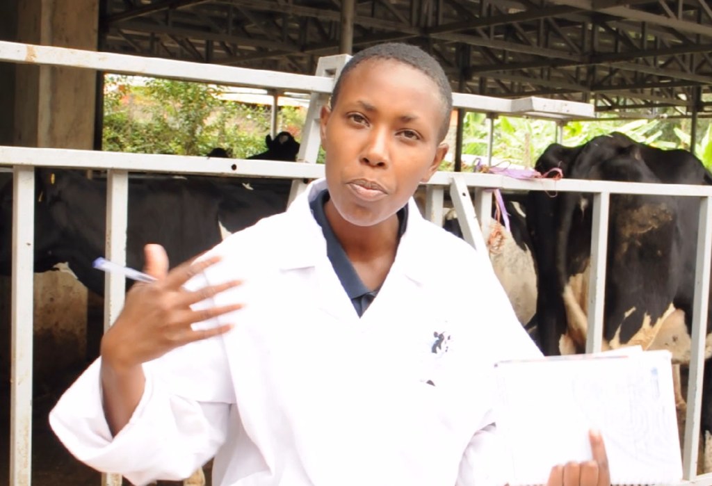 Norah Makena, Mtaalamu wa kilimo wa Edmund Rice Dairies huko huko Embulbul, Kajiado Kenya anatoa mafunzo ya kilimo cha kisasa kwa jamii inayomzunguka. Norah Makena, Mtaalamu wa kilimo wa Edmund Rice Dairies huko huko Embulbul, Kajiado Kenya anatoa mafunzo ya kilimo cha kisasa kwa jamii inayomzunguka.