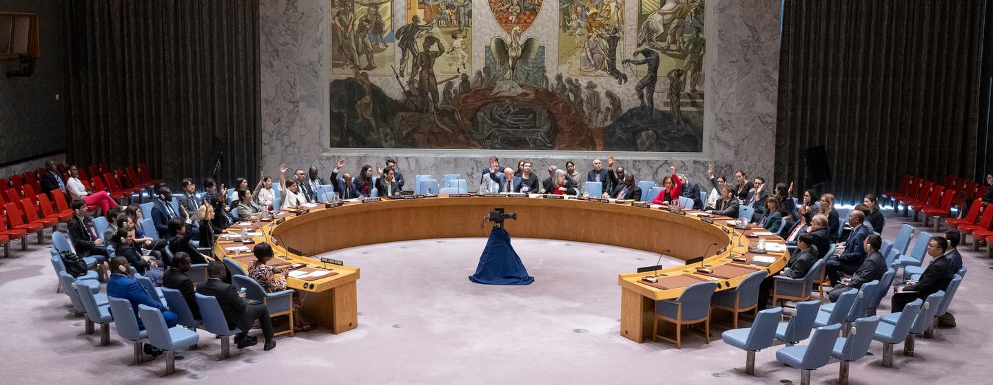 Les membres du Conseil de sécurité votent sur un projet de résolution concernant le régime de sanctions contre la République centrafricaine.