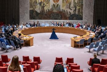 A view of the UN Security Council as members vote in favour of the draft resolution on the Central African Republic sanctions regime.