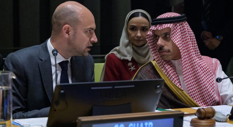 مؤتمر حل الدولتين يستعد لاختتام أعماله في مقر الأمم المتحدة