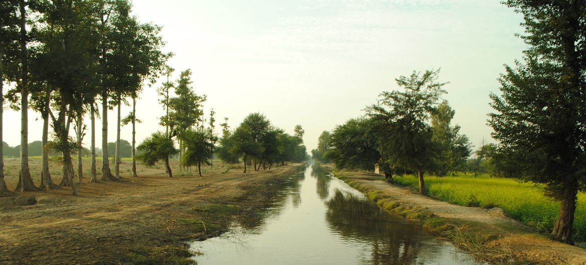 پاکستان میں آبپاشی کے ناقص انتظام کے باعث بڑی مقدار میں ضائع ہونے والے پانی کو سمارٹ فارمنگ کے ذریعے بچایا جا سکتا ہے۔