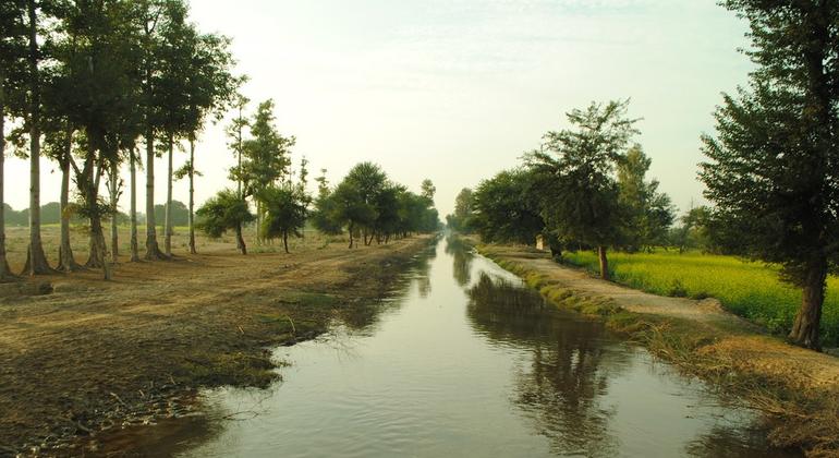 پاکستان میں آبپاشی کے ناقص انتظام کے باعث بڑی مقدار میں ضائع ہونے والے پانی کو سمارٹ فارمنگ کے ذریعے بچایا جا سکتا ہے۔