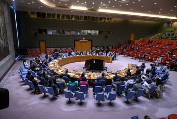 安全理事会关于刚果民主共和国局势会议的广角镜头。