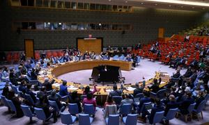 Security Council members vote on a draft resolution concerning a new gang suppression force in Haiti.