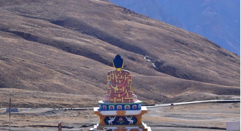 यूनेस्को के बायोस्फ़ियर रिज़र्व “सतत विकास की जीवित प्रयोगशालाएँ” हैं, जहाँ संरक्षण और मानवीय गतिविधियाँ साथ-साथ प्रबंधित की जाती हैं.