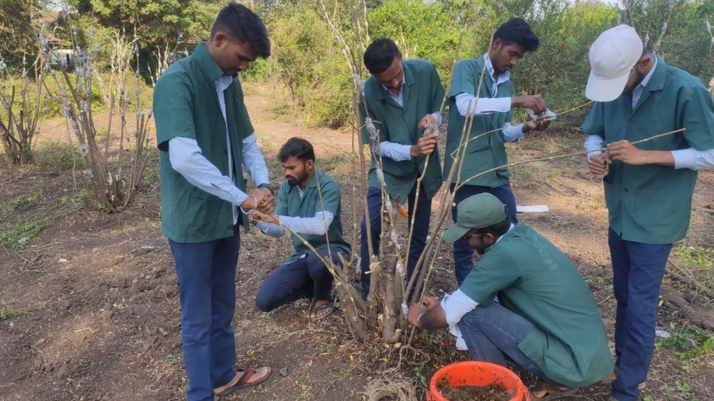 600 से अधिक नए बाज़ार-उन्मुख पाठ्यक्रम विकसित किए गए हैं, जिनमें उद्यमिता, कृषि व्यापार विश्लेषण, कृत्रिम बुद्धिमत्ता, रोबोटिक्स और सटीक कृषि जैसे क्षेत्र शामिल हैं.