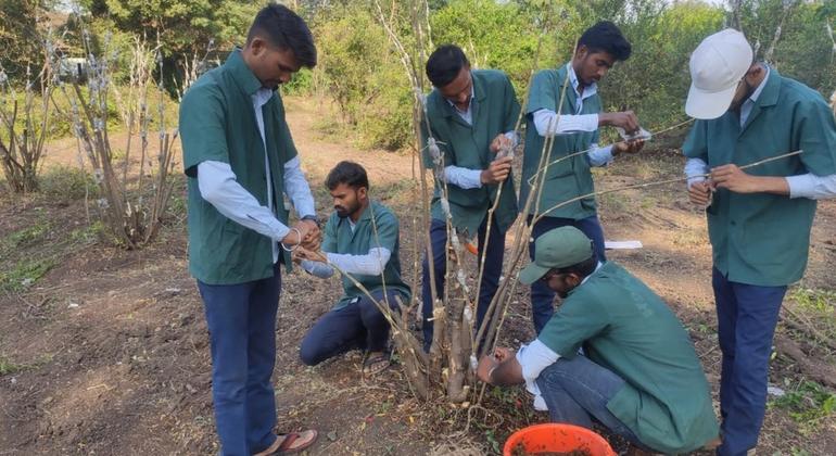 600 से अधिक नए बाज़ार-उन्मुख पाठ्यक्रम विकसित किए गए हैं, जिनमें उद्यमिता, कृषि व्यापार विश्लेषण, कृत्रिम बुद्धिमत्ता, रोबोटिक्स और सटीक कृषि जैसे क्षेत्र शामिल हैं.