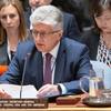 Помощник Генерального секретаря ООН Мирослав Енча на заседании Совбеза. Фото из архива 