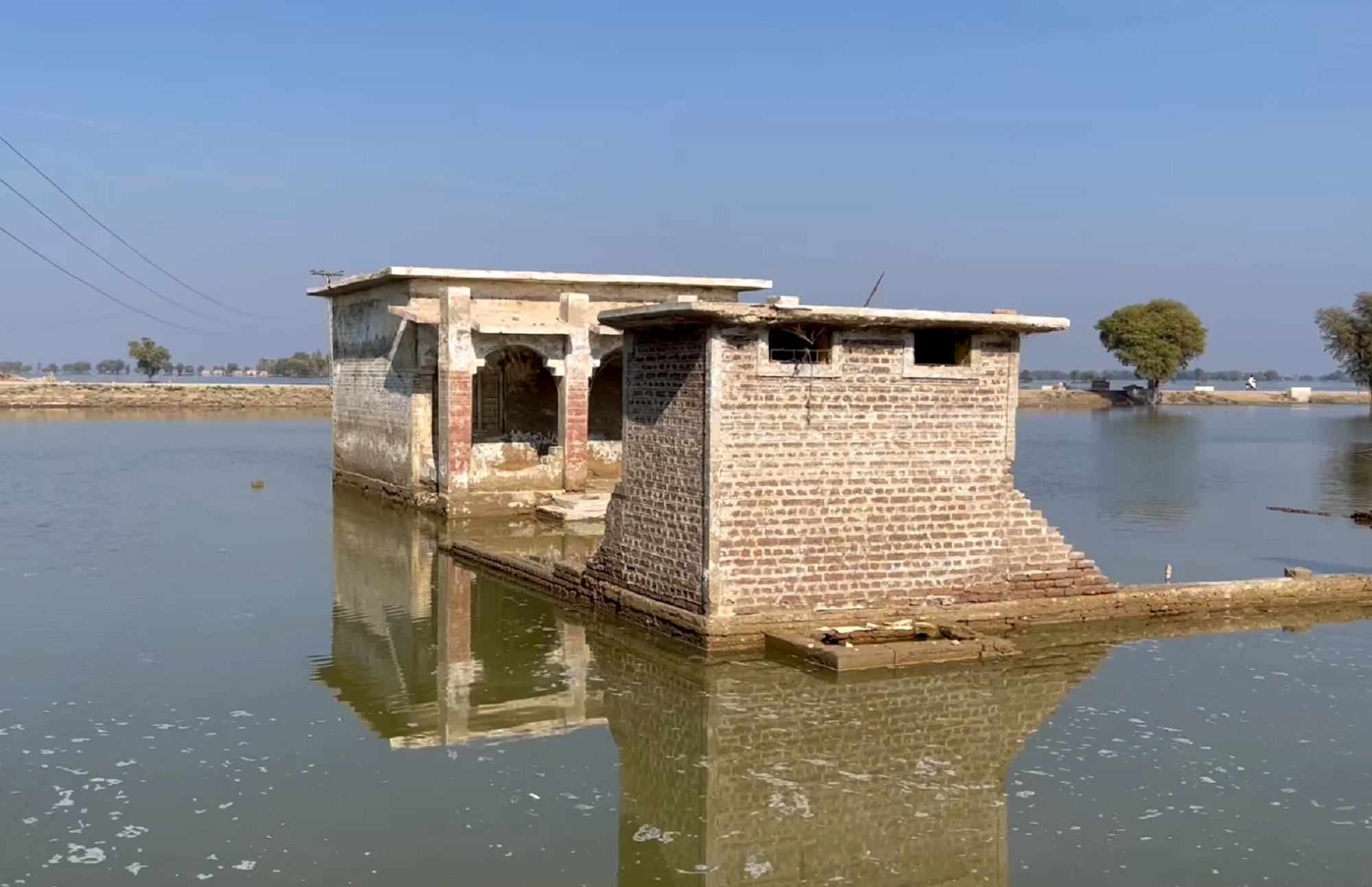 سیلاب پاکستان میں بڑے پیمانے پر تباہی کا سبب بن رہے ہیں جس دیہات اور زرعی شعبہ خاص طور پر متاثر ہو رہا ہے۔