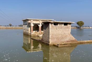 पाकिस्तान का एक बाढ़ प्रभावित इलाक़ा