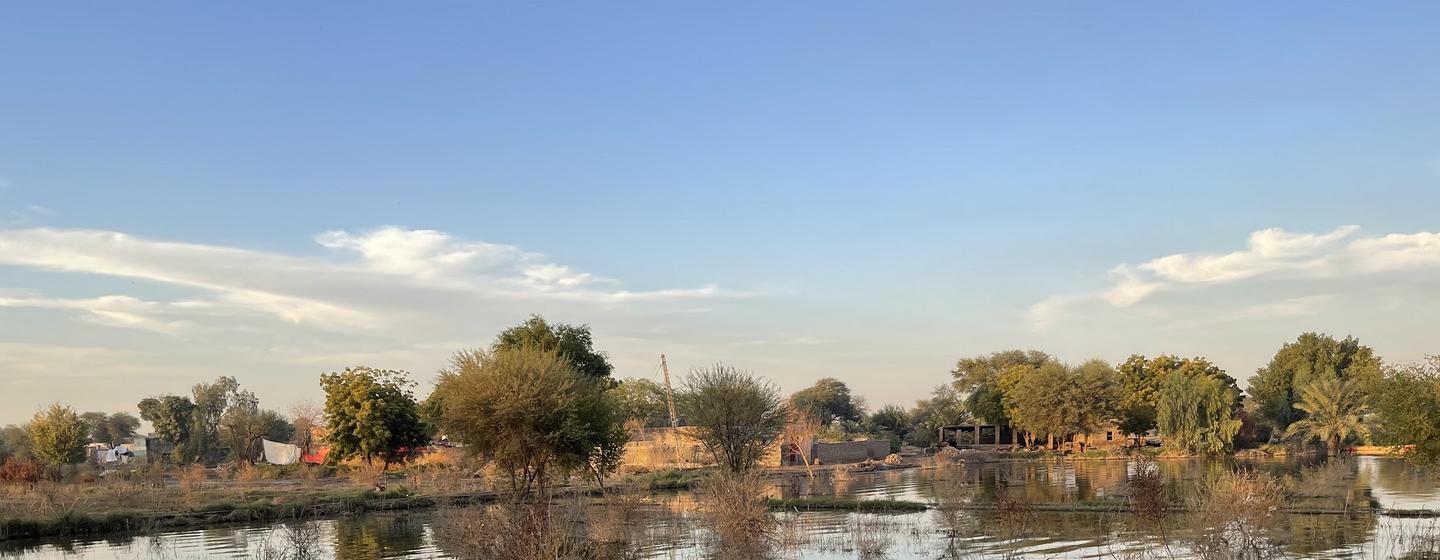 سال 2022 میں آنے والے سیلاب سے مجموعی طور پر 30 ارب ڈالر کا معاشی نقصان ہوا اور 80 لاکھ لوگ بے گھر ہو گئے۔