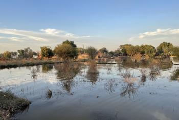 سال 2022 میں آنے والے سیلاب سے مجموعی طور پر 30 ارب ڈالر کا معاشی نقصان ہوا اور 80 لاکھ لوگ بے گھر ہو گئے۔