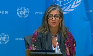 Francesca Albanese, relatora especial de la ONU sobre la situación de los derechos humanos en los territorios palestinos ocupados.