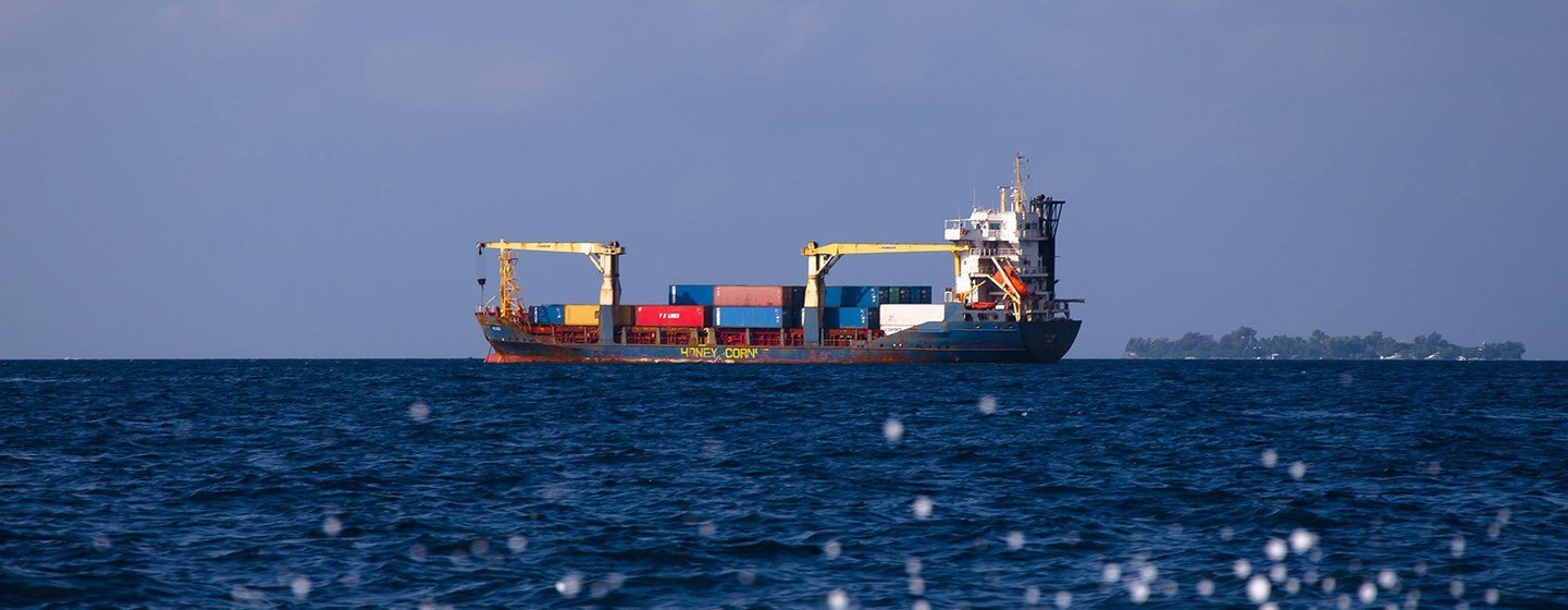 Un grand porte-conteneurs navigue en pleine mer sous un ciel nuageux.