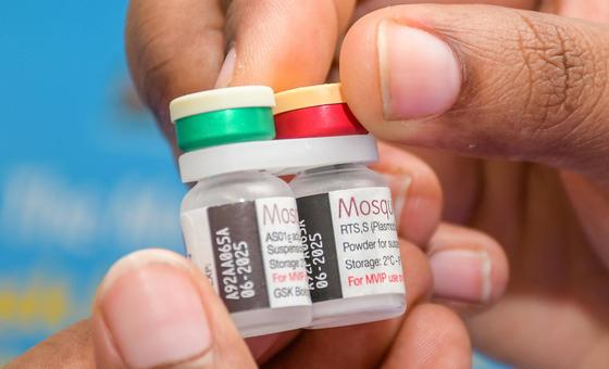 Un trabajador sanitario de Kenia sostiene viales de vacuna contra la malaria o paludismo para su administración en una campaña de vacunación.