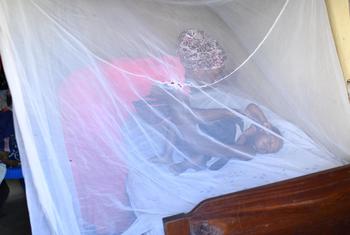 यूगांडा में, एक माँ के लिए, अपने एक वर्षीय बच्चे को सुलाते समय, मच्छरों से बचाने का इन्तज़ाम करना ज़रूरी था.