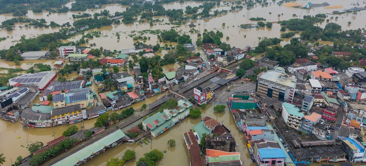 Gampaha (pictured), a district on Colombo's outskirts, has been among the areas hardest hit by flooding after Cyclone Ditwah.