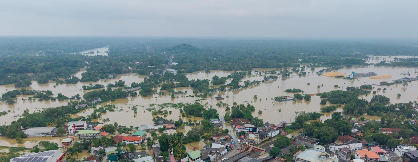 Gampaha, dans la banlieue de Colombo (Sri Lanka), fait partie des zones les plus durement touchées par les inondations qui ont suivi le cyclone Ditwah.