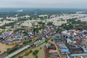Gampaha (pictured), a district on Colombo's outskirts, has been among the areas hardest hit by flooding after Cyclone Ditwah.