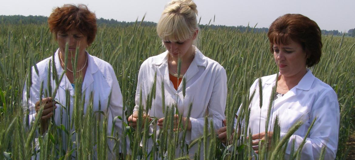 Женщины в сельской местности чаще сталкиваются с материальными трудностями и несут непропорционально высокую нагрузку по выполнению неоплачиваемой работы по дому параллельно с участием в ключевых сельскохозяйственных работах.