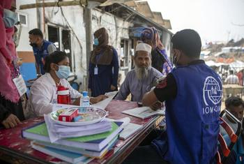 IOM is providing medical assistance to newly arrived Rohingya refugees.