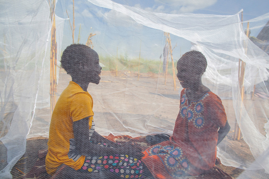 فتيات صغيرات يتحدثن أثناء جلوسهن تحت ناموسية في بينيثيانغ، جنوب السودان.