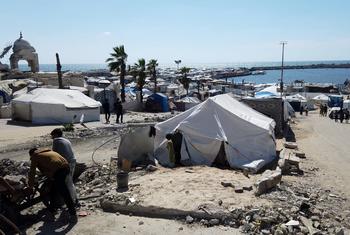 The Israeli military's evacuation orders apply to 80 per cent of Gaza, leaving many of the enclave's people displaced.