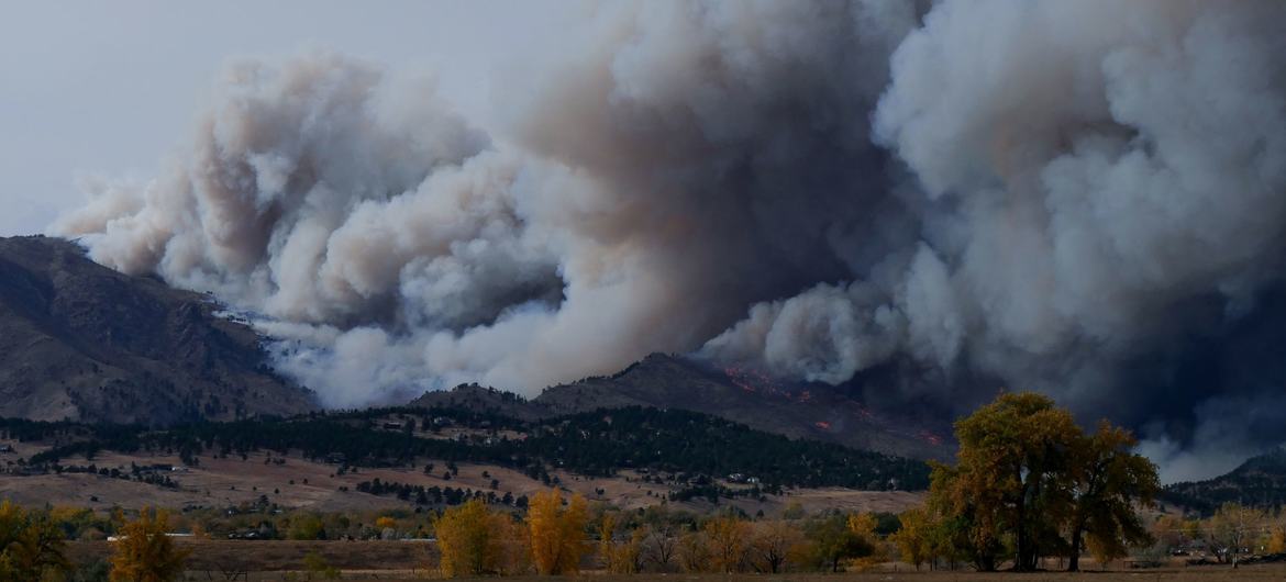 Un incendio forestal en Colorado, Estados Unidos.