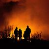 उत्तरी गोलार्ध में गर्मियों के दौरान जंगलों में लगी आग से पूरे योरोप में तबाही हुई है.