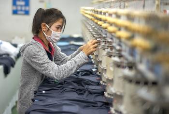 media:entermedia_image:2e6a57e2-e968-49e2-908c-ff5cc1d96aa0