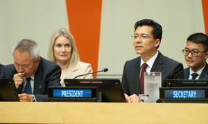 Lok Bahadur Thapa of Nepal has been elected President of the UN Economic and Social Council.