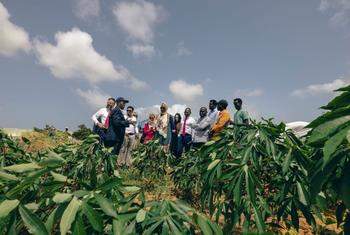 Katika Chuo Kikuu cha City mjini Mogadishu, IOM inasaidia kituo cha uhifadhi wa mbegu kuhifadhi mazao ya kiasili, kukuza ustahimilivu wa hali ya hewa na utunzaji wa mazingira. 