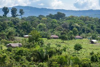 Colombia