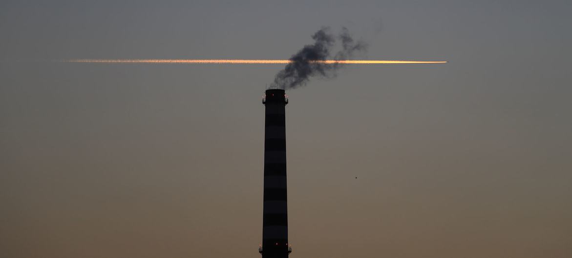 Los combustibles fósiles emiten contaminantes atmosféricos que son perjudiciales tanto para el medio ambiente como para la salud pública.