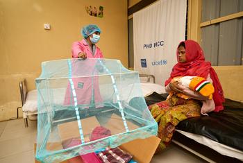 बांग्लादेश के एक प्राथमिक स्वास्थ्य केन्द्र में एक दाई, एक नई माँ को शिशुओं की मच्छरदानी का उपयोग करना सिखा रही है.
