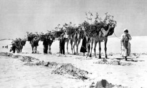 Umoja wa Mataifa wanatoa huduma muhimu kwa wakimbizi wa Kipalestina, Mashariki ya Kati.