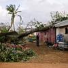 A woman looks at the damage to her home in St. Elizabeth, Jamaica, after a tree fell on it.