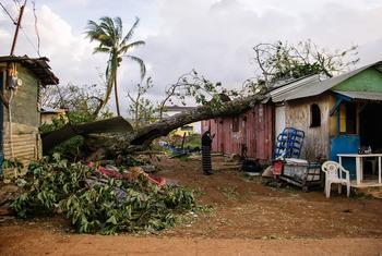 A woman looks at the damage to her home in St. Elizabeth, Jamaica, after a tree fell on it.