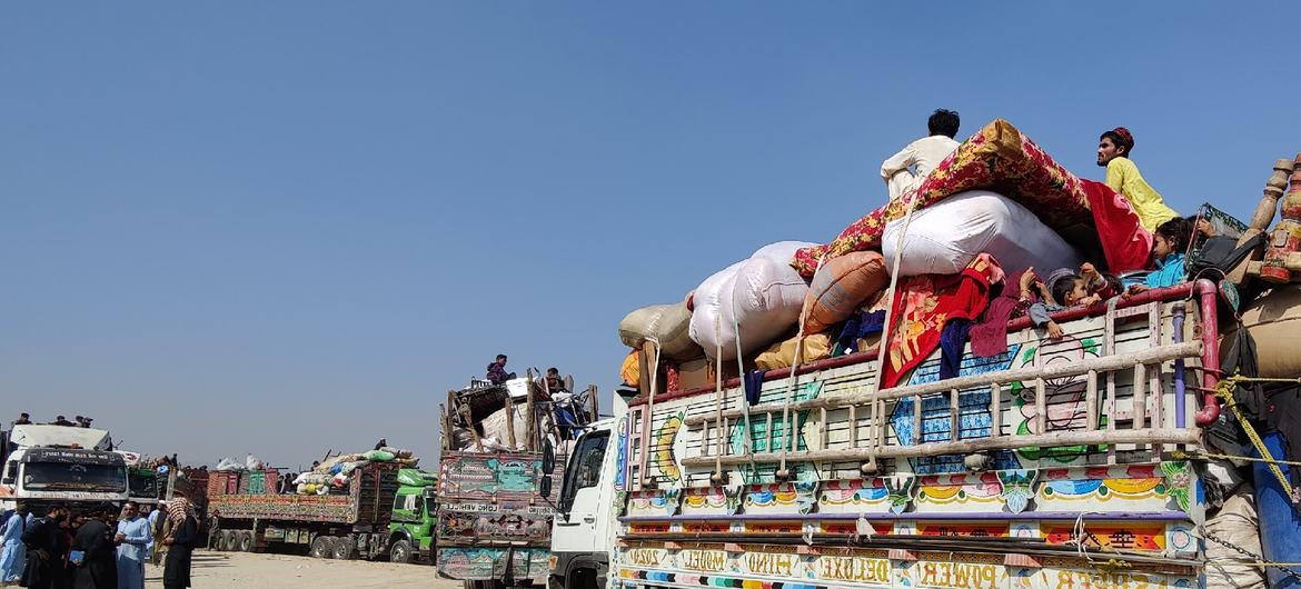Plus de 1,5 million d’Afghans sont rentrés ou ont été expulsés d’Iran et du Pakistan en 2024.