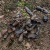 Взрывоопасные предметы в Украине разбросаны на площади размером в две Австрии. 